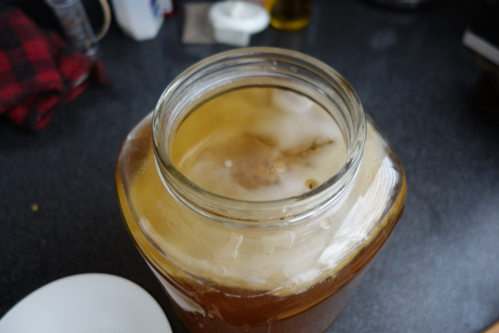 kombucha-1