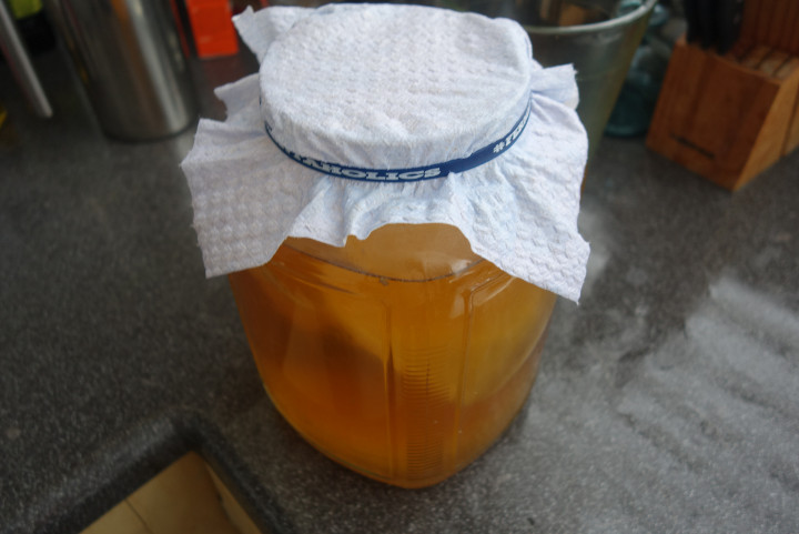 kombucha-7